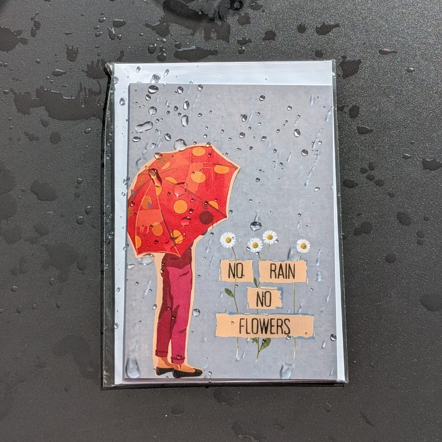 No rain no flowers