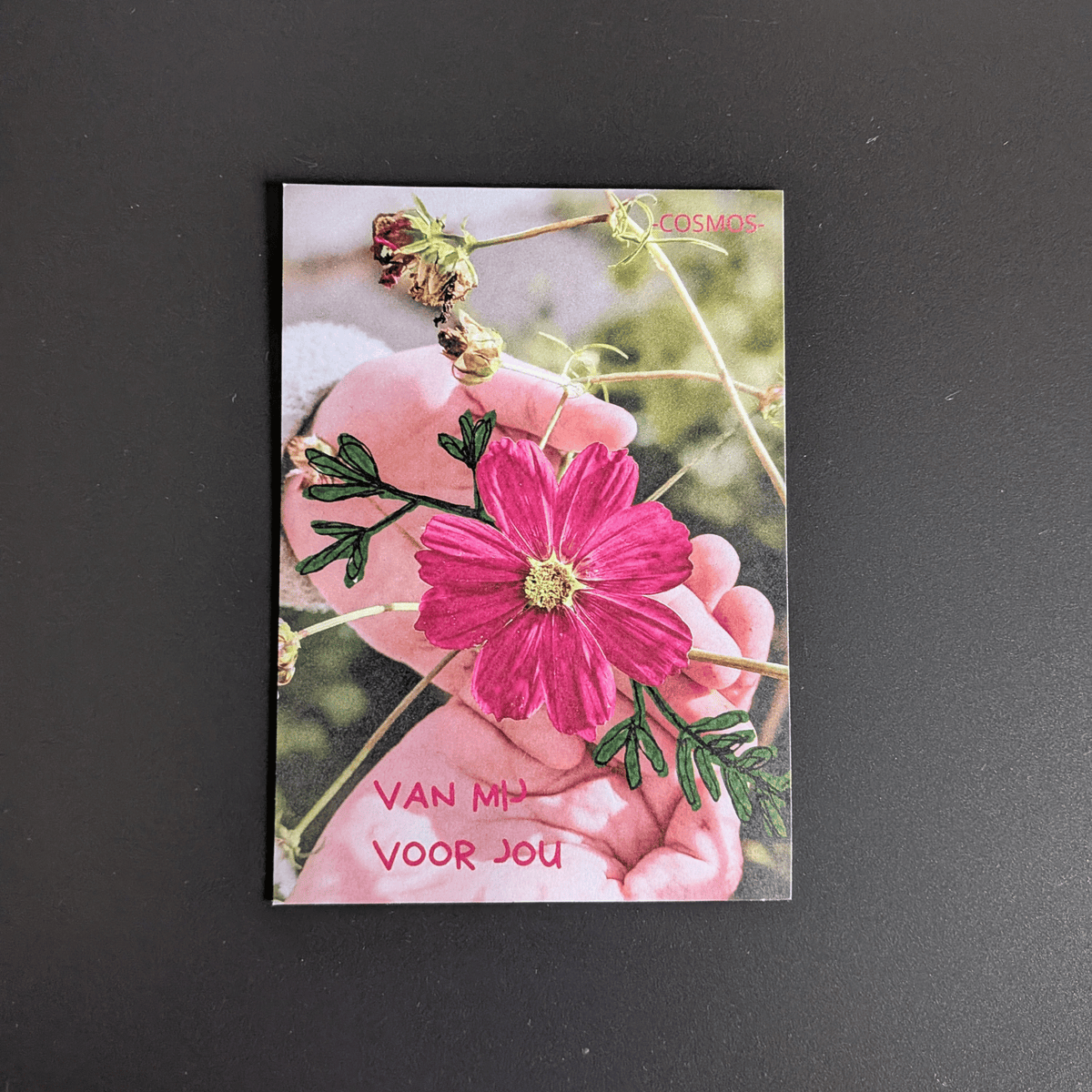 Dankjewel voor de steun 🤗