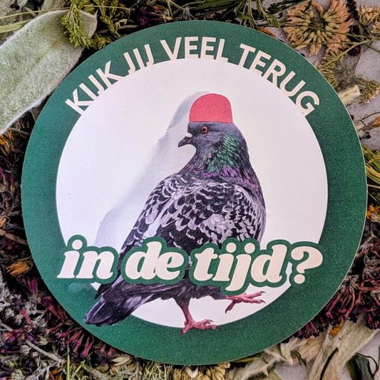 Kijk jij veel terug in de tijd?